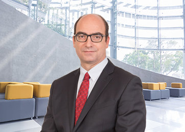 Santiago Sañé, Audit Partner
